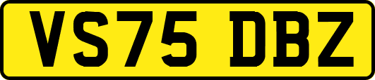 VS75DBZ