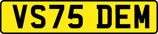 VS75DEM