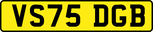 VS75DGB