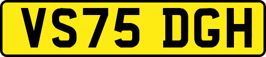 VS75DGH