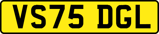 VS75DGL