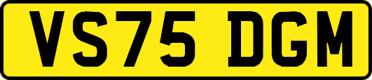 VS75DGM