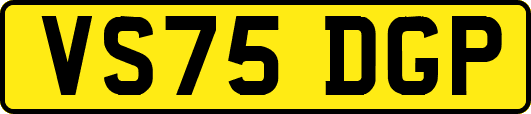 VS75DGP