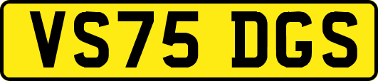 VS75DGS