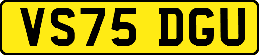 VS75DGU