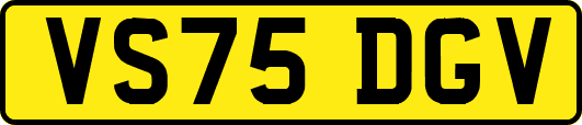 VS75DGV