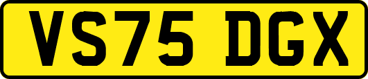 VS75DGX