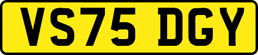 VS75DGY