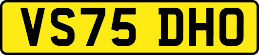 VS75DHO