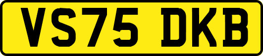 VS75DKB