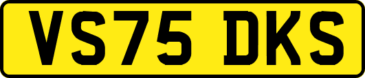 VS75DKS