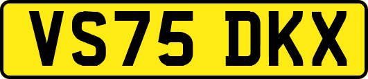 VS75DKX