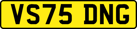 VS75DNG