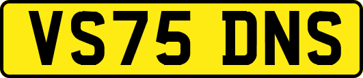 VS75DNS