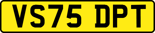 VS75DPT