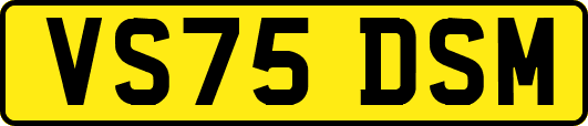 VS75DSM