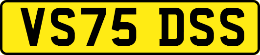 VS75DSS