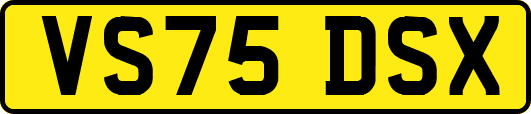 VS75DSX
