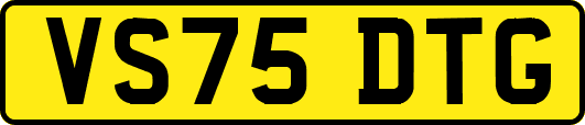 VS75DTG