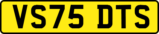 VS75DTS