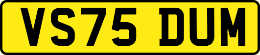 VS75DUM