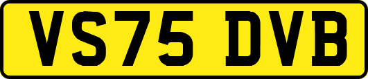 VS75DVB