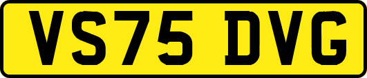 VS75DVG