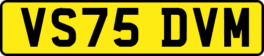 VS75DVM
