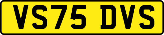 VS75DVS
