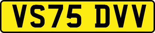VS75DVV