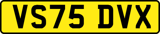 VS75DVX