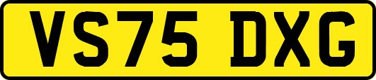 VS75DXG