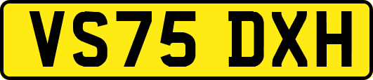 VS75DXH