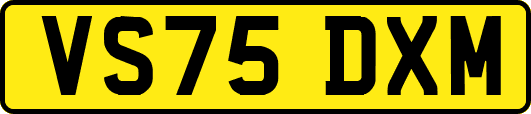 VS75DXM