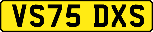 VS75DXS
