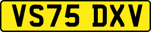 VS75DXV