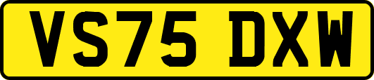 VS75DXW