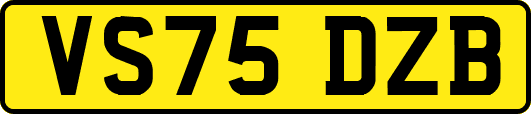 VS75DZB