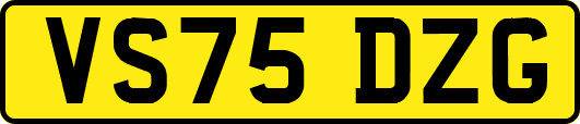 VS75DZG