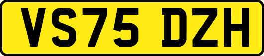 VS75DZH