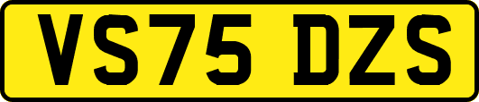 VS75DZS