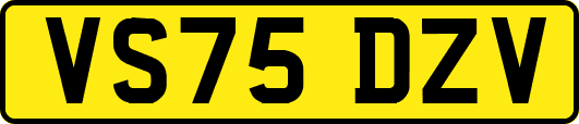 VS75DZV