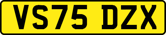 VS75DZX