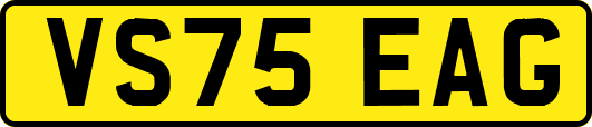 VS75EAG
