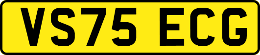 VS75ECG
