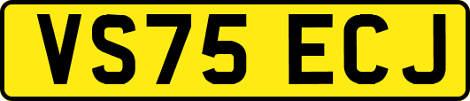 VS75ECJ