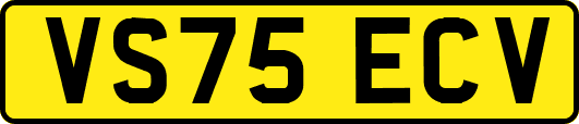 VS75ECV