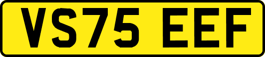 VS75EEF