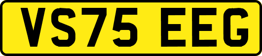 VS75EEG