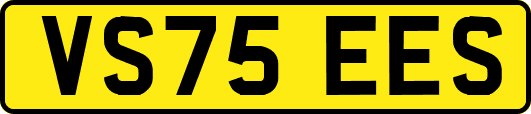 VS75EES